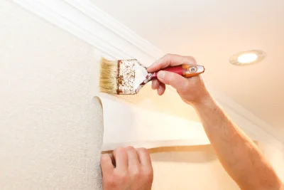 Pose de papier peint à Vergheas — revêtements muraux et toiles de verre